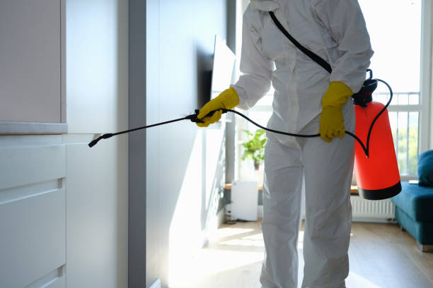 Professional Mold Remediation in Bainbridge, OH