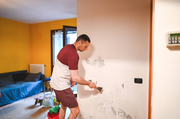 Best Crawl Space Mold Remediation in Bainbridge, OH